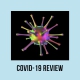 image of COVID structure